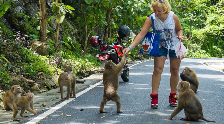 Trekking Monkey Mountain: avventura sulla collina di Khao Takiab