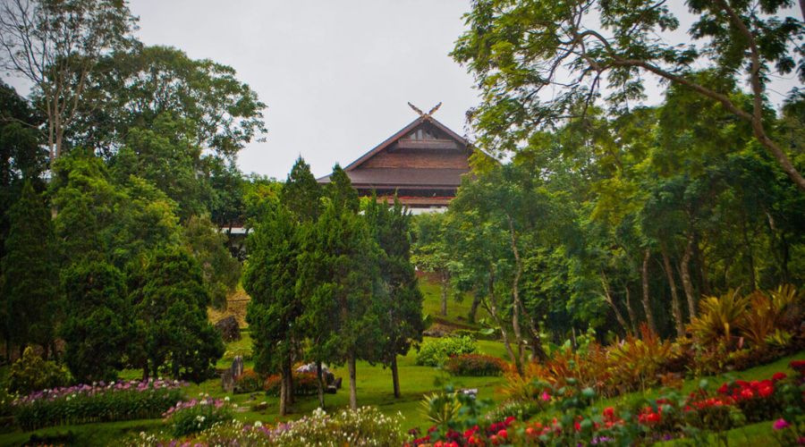 Immersiti nella ricca storia di Doi Mae Salong