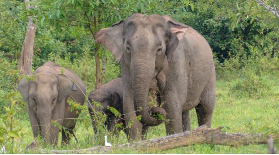 Come accedere al Parco Nazionale di Kui Buri