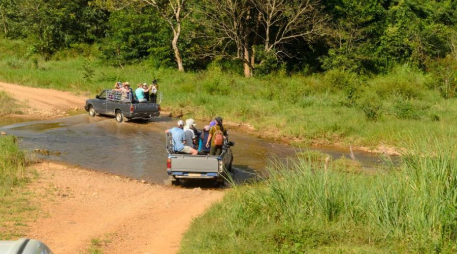 Specie della fauna selvatica nel Parco Nazionale di Kui Buri