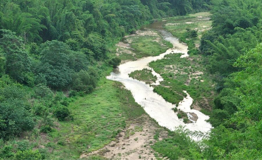 La natura incontaminata del Santuario Faunistico di Huai Kha Khaeng