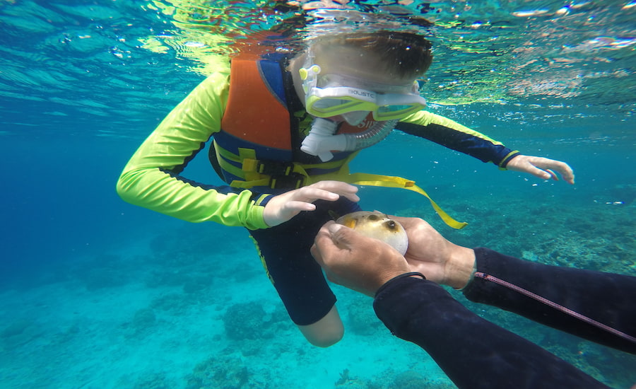 Bambino con giubbotto di salvataggio e maschera che fa snorkeling nelle acque cristalline