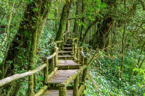Parco Nazionale di Doi Inthanon