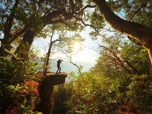 parco nazionale di khao yai