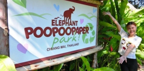 Giorno 10: Chiang Mai - Parco di PoopooPaper - Chiang Rai (B)