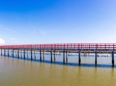 Top 5 Attività da Non Perdere a Samut Sakhon