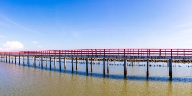 Top 5 Attività da Non Perdere a Samut Sakhon