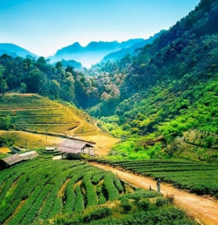 Esplora Le 12 Attrazioni Imperdibili di Chiang Mai