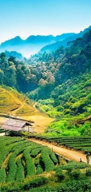 Esplora Le 12 Attrazioni Imperdibili di Chiang Mai