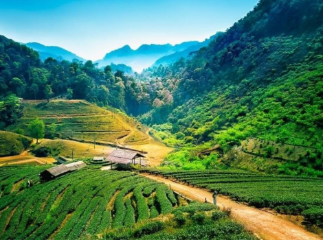 Esplora Le 12 Attrazioni Imperdibili di Chiang Mai
