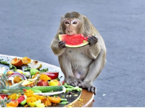 Un tour gastronomico a Lopburi: Dove gustare le specialità locali, 2023