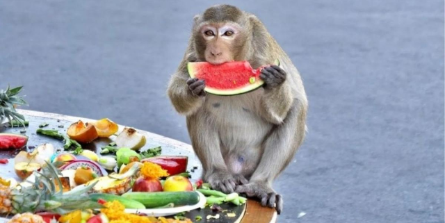 Un tour gastronomico a Lopburi: Dove gustare le specialità locali, 2023