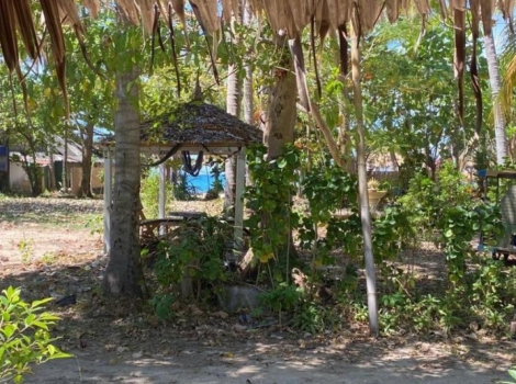 Patty's Secret Garden_La Scelta Perfetta a Koh Lanta