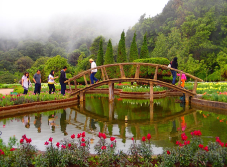 Il parco nazionale di Doi Inthanon 1 giorno