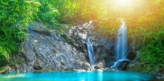 Giorno 6: Khao Sok – Khao Lak - Piccola Amazzonia (B) Join tour
