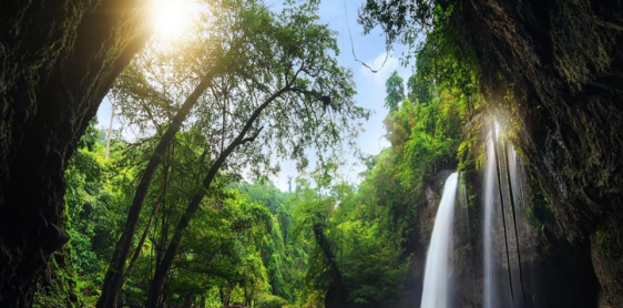 Giorno 7: Khao Lak - Hilights (B/L) Join tour