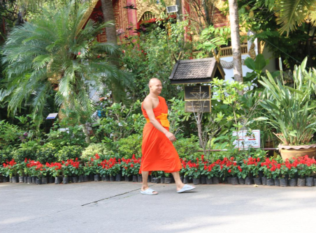 Viaggio in Thailandia e Laos 18 Giorni