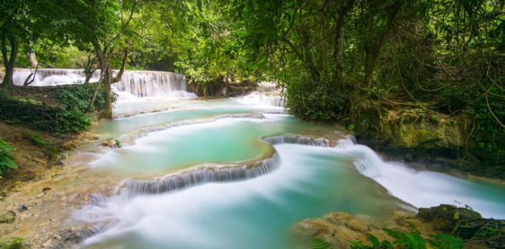 Giorno 13: Luang Prabang - Cascate di Kuang Si (B)