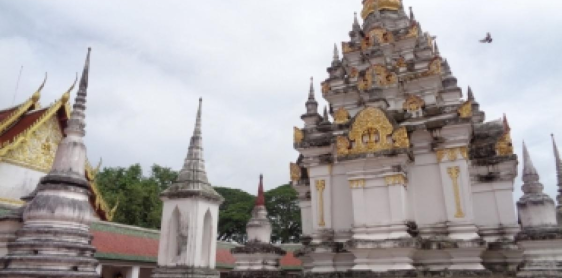 Giorno 8: Paktako - Surat - Thani (169 km) (B, L, D)