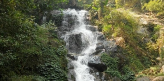 Giorno 2: Chiang Rai – esperienza con gli elefanti e cascate (B, L)