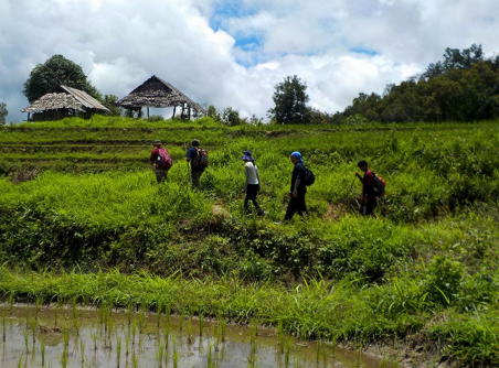 Tour di trekking nel nord della Thailandia e elefante di Mae Taeng 4 giorni