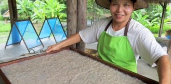 Giorno 4: Rafting sulle acque bianche di Mae Taeng - Elephant PooPooPaper Park - Chiang Mai (B, L)