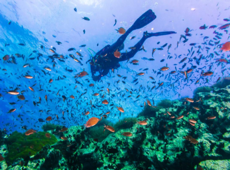 Isole Esotiche di Koh Samui, Koh Tao e Koh Phangan 5 Giorni