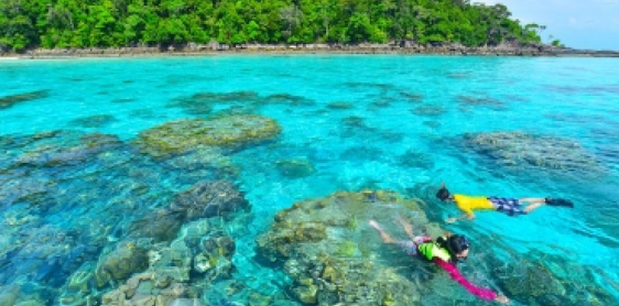 Giorno 13: Tempio libero a Phuket (B)