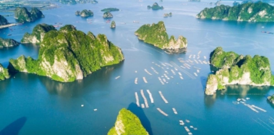 Giorno 7: Hanoi - Ninh Binh - Hanoi (B)