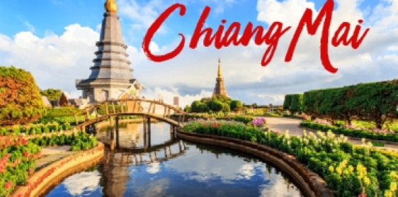 Giorno 9: Chiang Mai - Santuario della giungla degli elefanti (B, L) Join tour con guida parlante inglese
