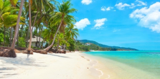 Giorno 14: Koh Samui - Tempo libero (B) Senza guida senza autista