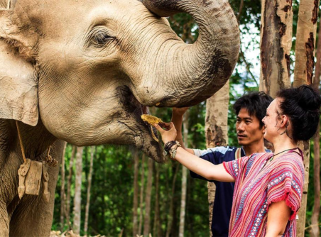 Un'ottima idea con la tua famiglia in Thailandia 14 giorni