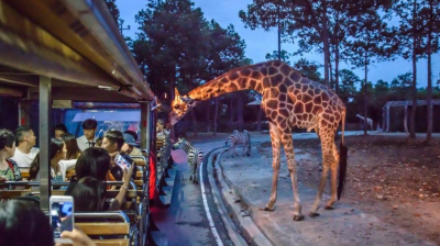 Safari Notturno di Chiang Mai