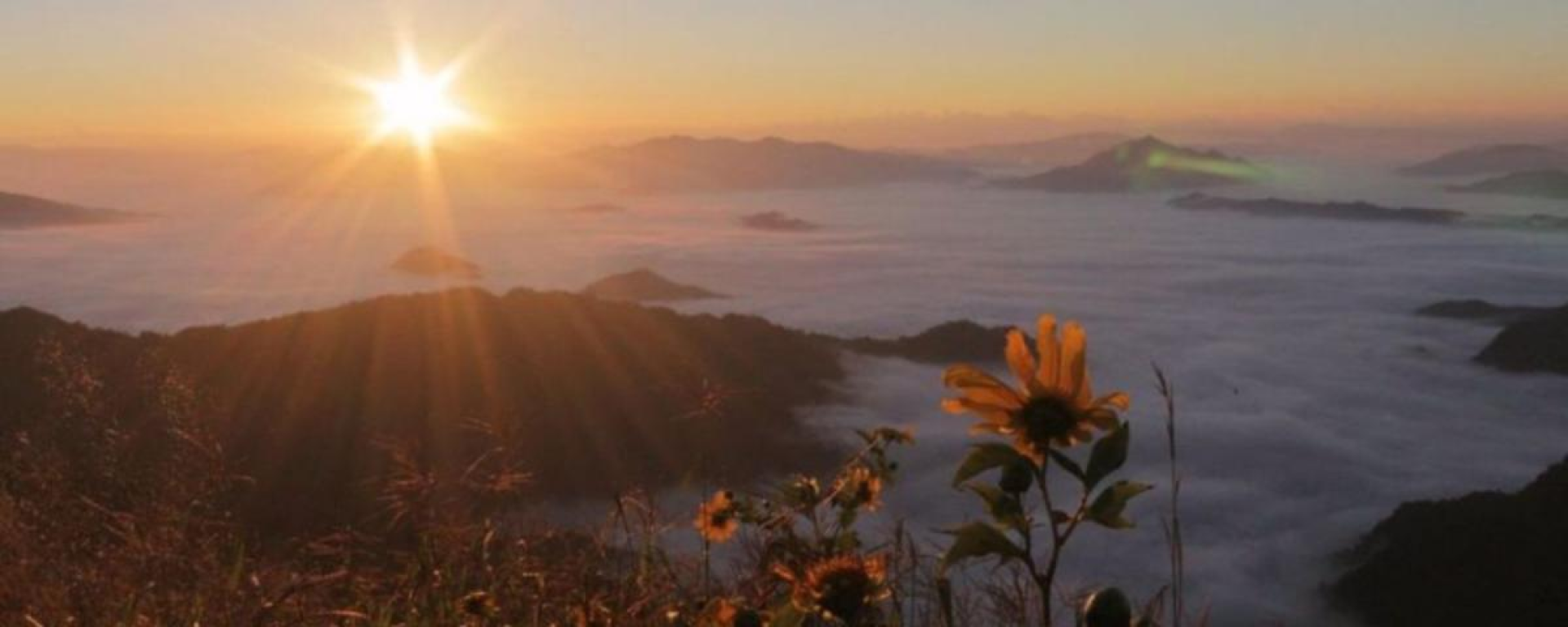 Montagna di Phu Chi Fa