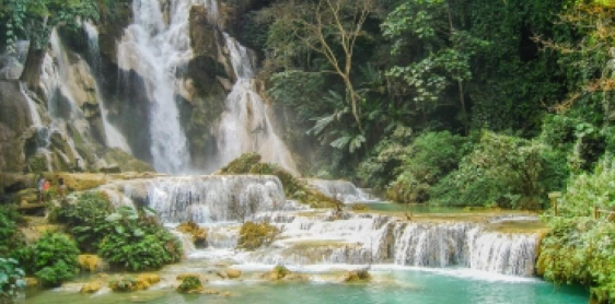 Giorno 13: Luang Prabang - Cascate di Kuang Si (B)