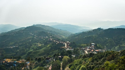Doi Mae Salong