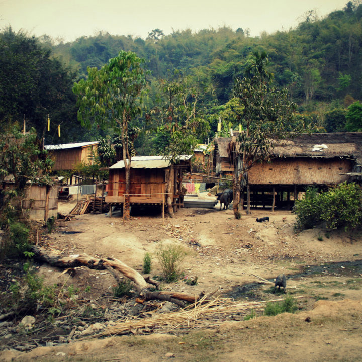 Trekking nelle tribù delle colline di Chiang Mai 3 giorni