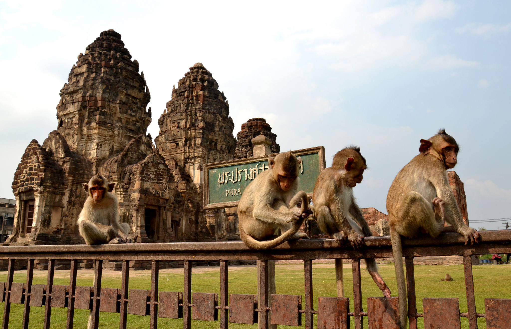 le-delizie-culinarie-di-lopburi