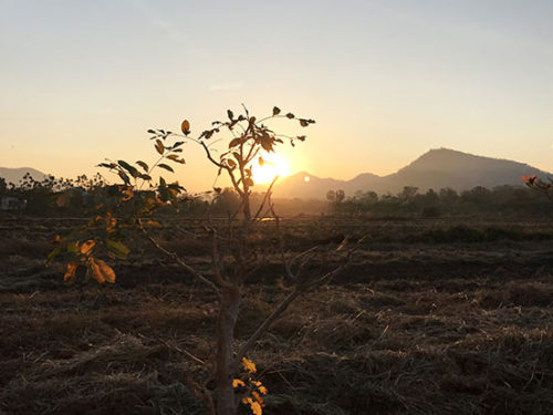 esplorando-i-mercati-di-saraburi-2023