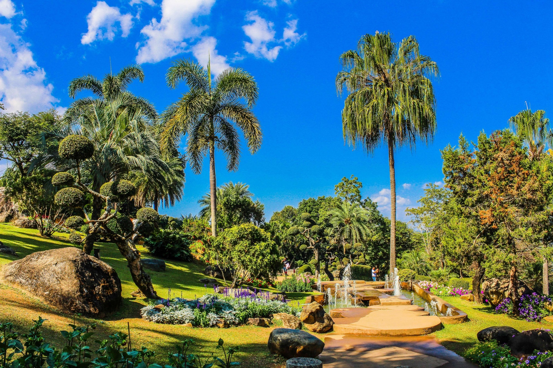 doi-tung-mae-fah-luang-garden-fea